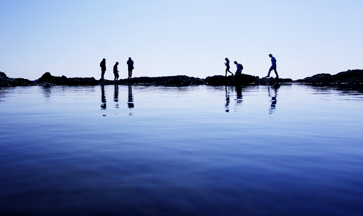 six people silhouetted on a ridge of rock at low tide